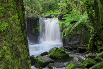 The beautiful Horseshoe Falls after heavy rain fall in Mount Field National Park, Tasmania, Australia.