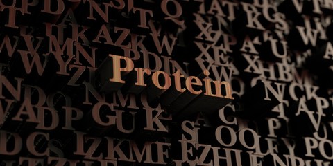 Protein - Wooden 3D rendered letters/message.  Can be used for an online banner ad or a print postcard.