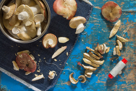 Mixed fresh porcini mushrooms. Shiitake, russules on blue vintag