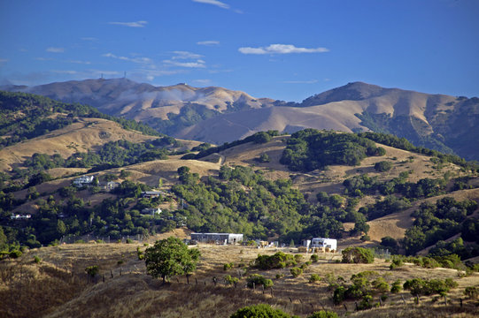 San Anselmo Landscape