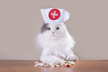 Cat in a suit of the doctor gives medicine - 124961386