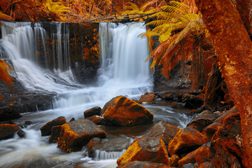 Beautiful Horseshoe Falls after heavy rain fall in Mount Field National Park, Tasmania, Australia. Abstract red hues added.