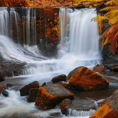 Beautiful Horseshoe Falls after heavy rain fall in Mount Field National Park, Tasmania, Australia. Abstract red hues added.