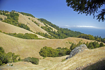 ripply hills ocean view