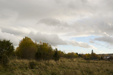 Obraz premium Russian field