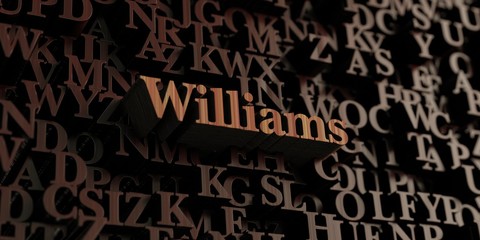 Williams - Wooden 3D rendered letters/message.  Can be used for an online banner ad or a print postcard.
