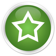 Star icon soft green glossy round button