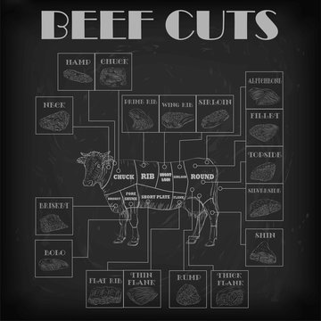 Beef cow bull whole carcass cuts cut parts infographics scheme sign signboard poster butchers guide: neck chunk, brisket fillet rump. Vector beautiful horizontal closeup white outline black background