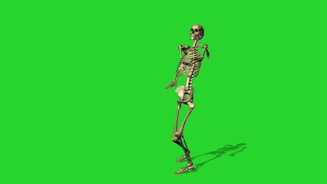 3d animation of skeleton exercise karate - separate on green screen