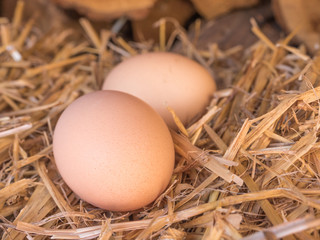 Close-up brown chicken eggs on a bed of straw