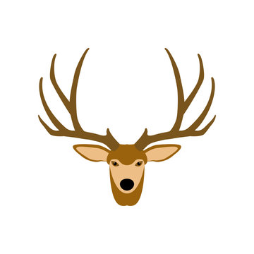 deer head vector illustration style Flat