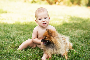Little baby playing with dog Pomeranian spitz on the green grass
