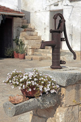 water pump n flowers