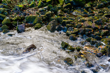 Moss covered stones or boulders at a shallow riverbank in fall.