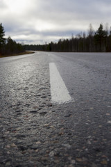 Closeup shot of a wet asphalt road.