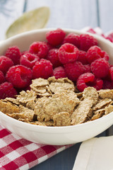 cereals with berries on white bowl