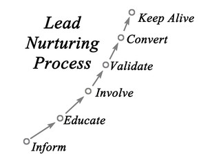 Lead Nurturing Process