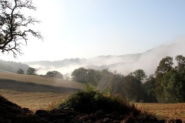 paysage d'Aveyron dans la brume matinale