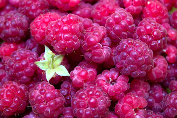 Ripe and beautiful raspberries - texture