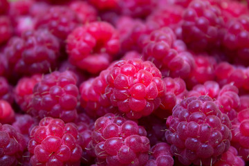 Ripe and beautiful raspberries - texture