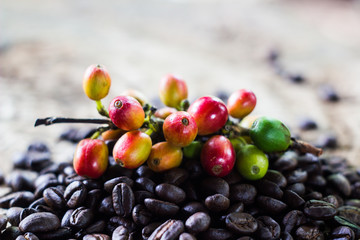 coffee beans on old teak