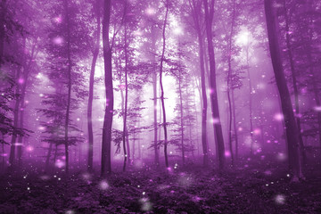 Magical pink colored foggy forest with artistic fireflies light background. Magic dark pink colored fairytale woodland.