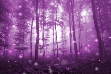 Foto op Plexiglas Magical pink colored foggy forest with artistic fireflies light background. Magic dark pink colored fairytale woodland. © robsonphoto