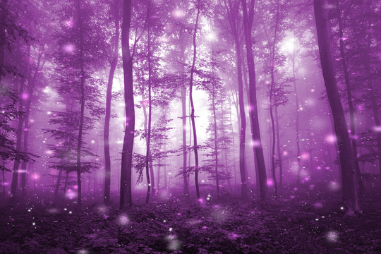 Fototapeta Magical pink colored foggy forest with artistic fireflies light background. Magic dark pink colored fairytale woodland.