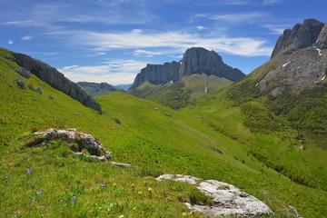 Meadow in Caucasus