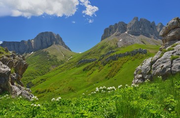 Caucasus view