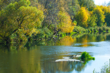 Fall River, trees dressed in yellow leaves leaned over the water