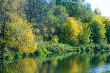 Fototapeta na wymiar Fall River, trees dressed in yellow leaves leaned over the water
