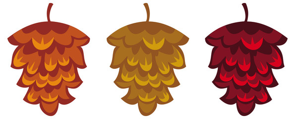 Decorative pine-cones isolated on a white background. Vector clip art. 