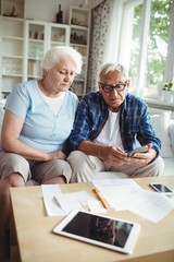 Worried senior couple checking the bills