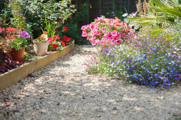 Garden background in blossom in the summer, selective focus on the pink geranium in the pot on the left