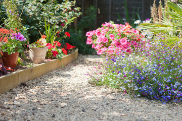 Garden background in blossom in the summer, selective focus on the pink geranium in the pot on the left
