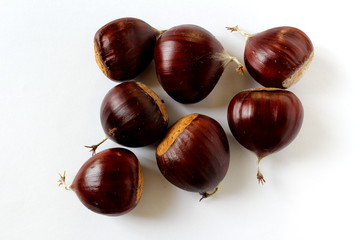 sweet chestnut fruits isolated
