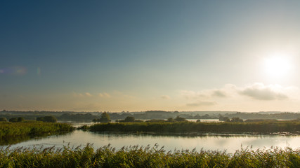 Shapwick Heath National Nature Reserve panorama. Reeds and lake at Avalon Marshes wetland habitat in the afternoon sun, in Somerset, England UK