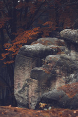 Rocks and old beech forest during autumn season