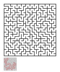 Labyrinth, maze conundrum for kids