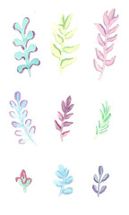 Watercolor branches with leaves set on white background