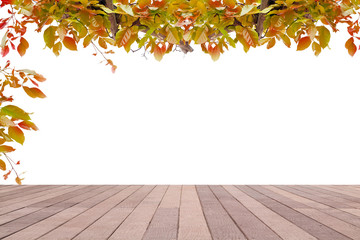 Naklejka na ściany i meble Wood floor with Green leaves frame on beach background