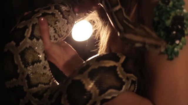 Fascinating look at a model with a python face