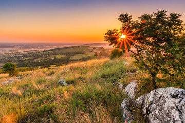 Sunset in the meadows