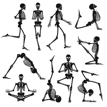 Black Human Skeletons Background