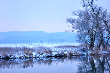 Winter landscape at a river with snow and bare trees.