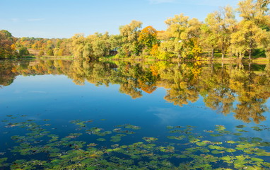 Fototapeta na wymiar Autumn landscape with blue lake and forest