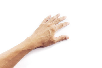 hand on white background
