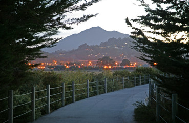 mt-tam path trees
