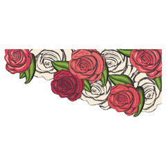 delicate rose flower drawing icon image vector illustration design 